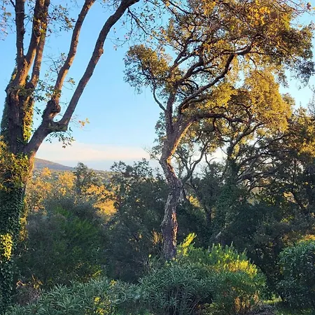 Les Restanques 10 Chenes 3 *