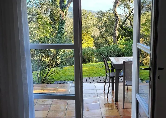 Les Restanques 10 Chenes 3 Σπίτι διακοπών Grimaud