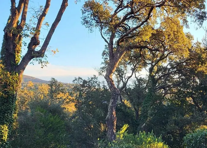 Les Restanques 10 Chenes 3 *